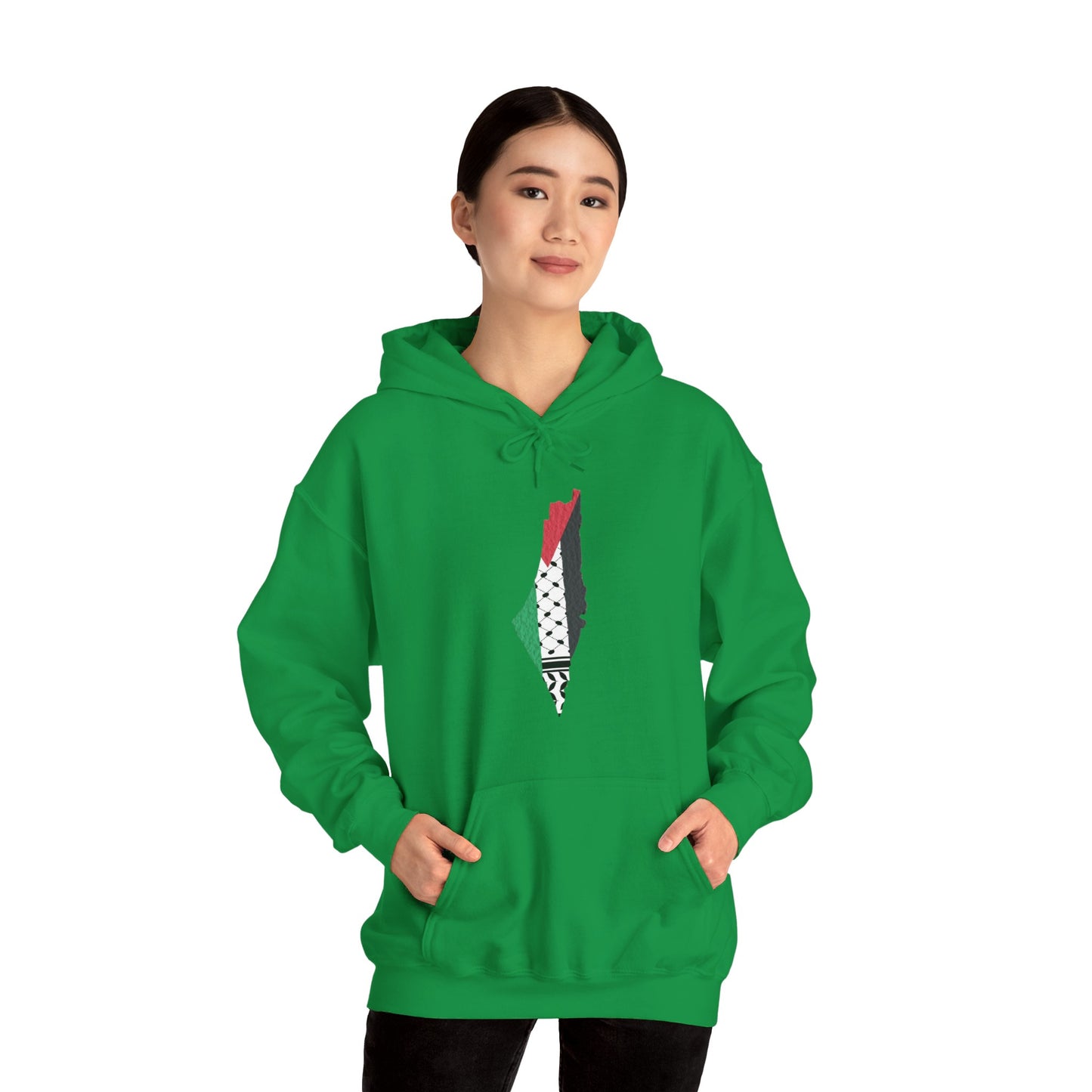 Palestine Map Hoodie