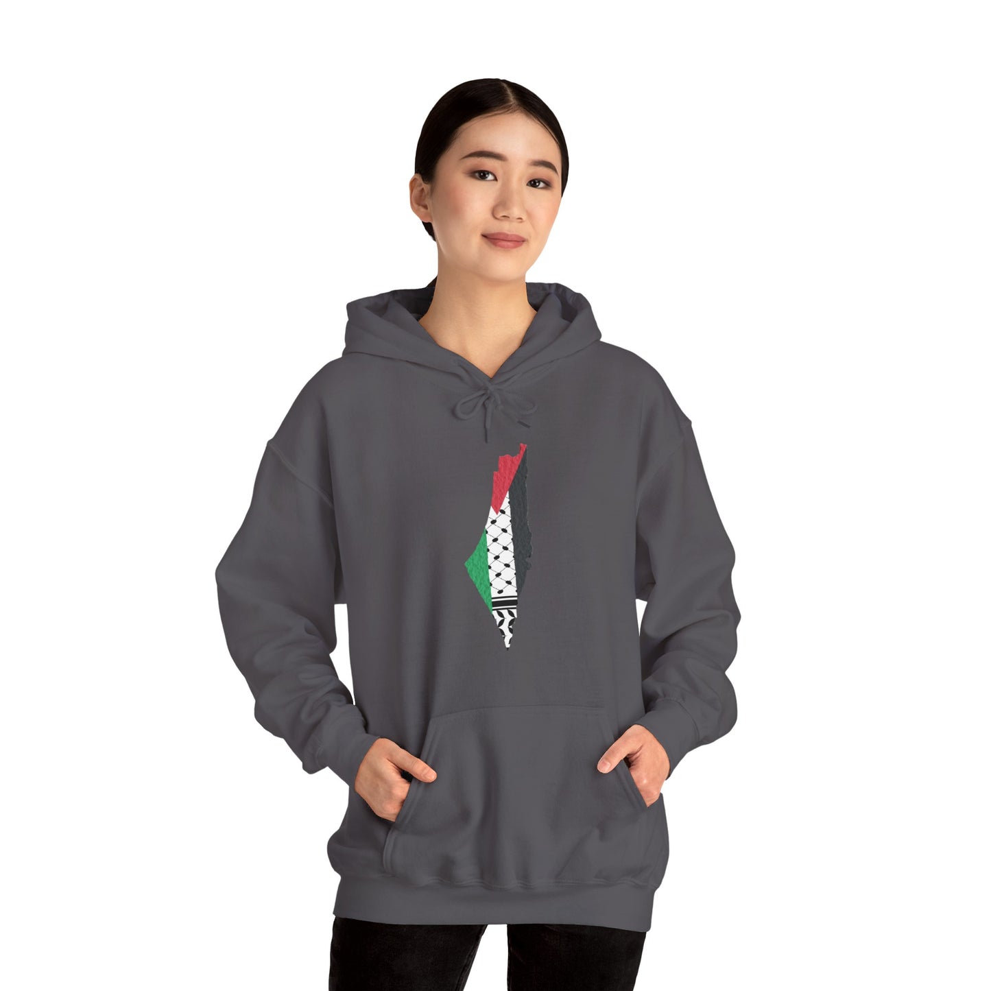 Palestine Map Hoodie