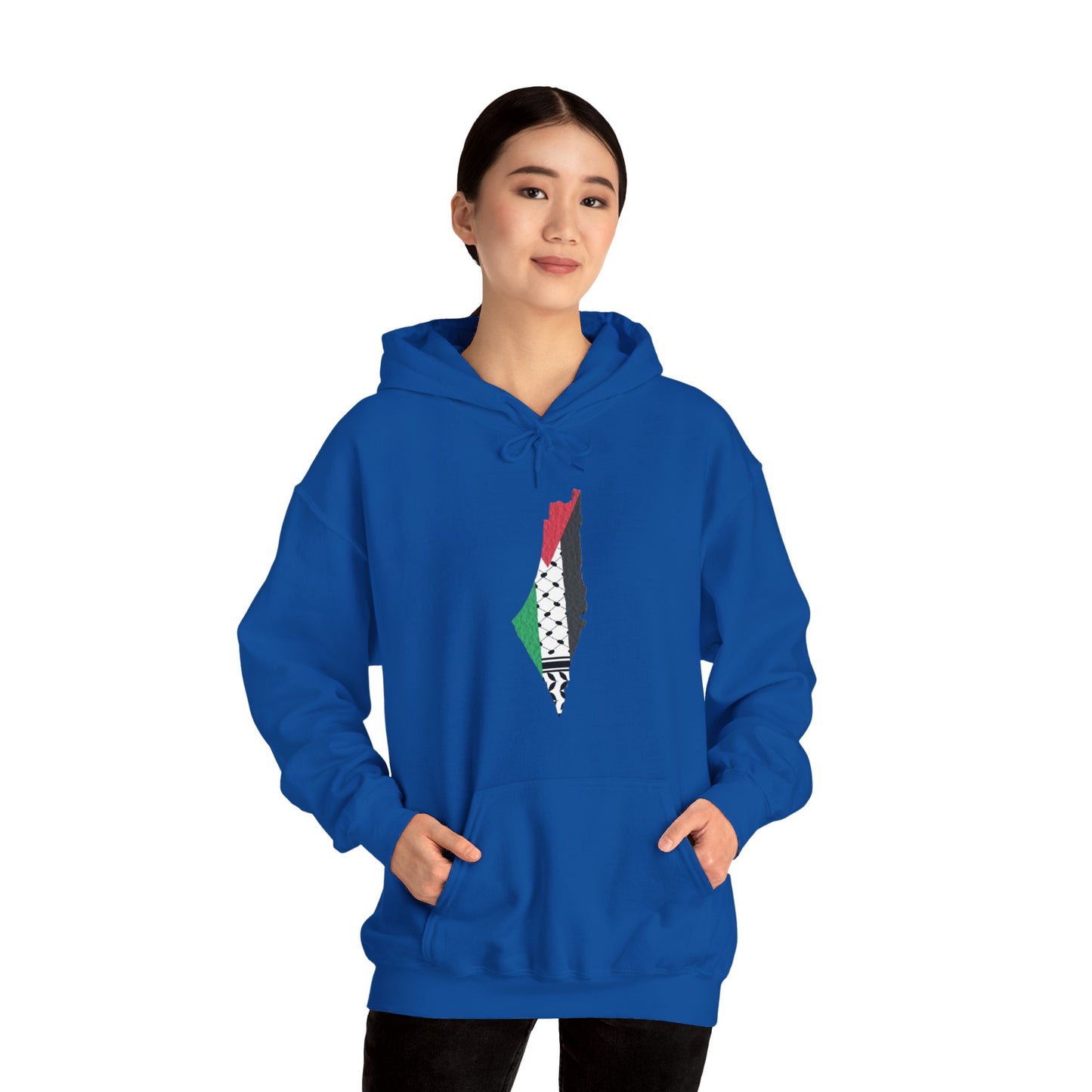 Palestine Map Hoodie