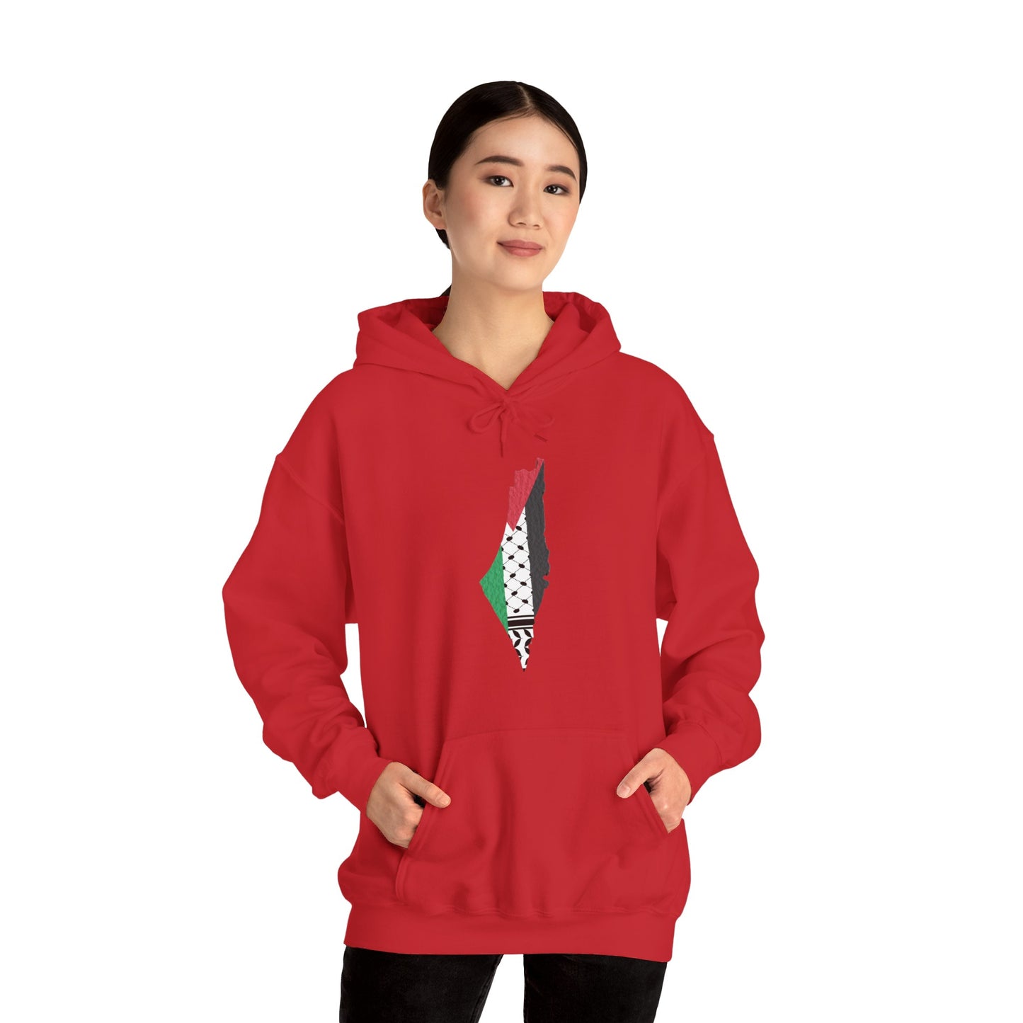 Palestine Map Hoodie